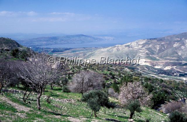 jordanie 35.jpg - Vue sur le lac de Tiberiade depuis Um Qeis, Jordanie